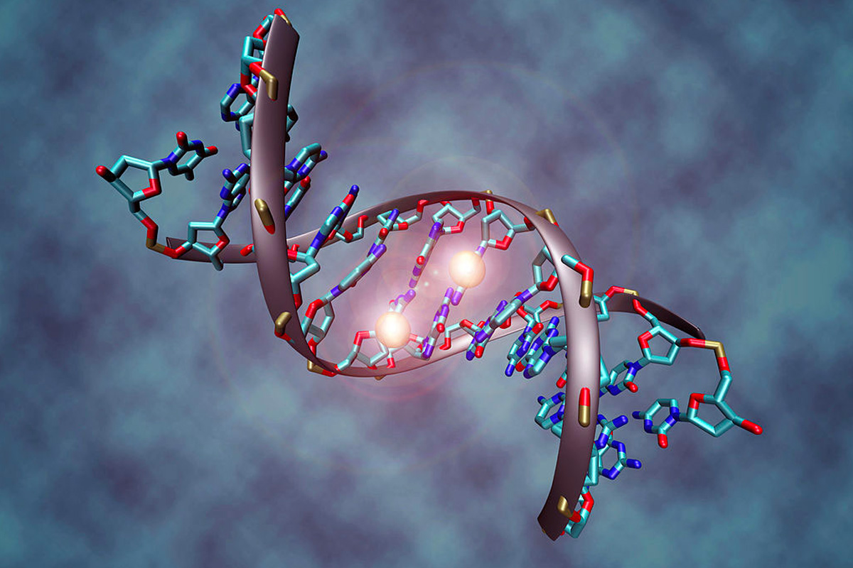 Ormoni, Epigenetica e Longevità
